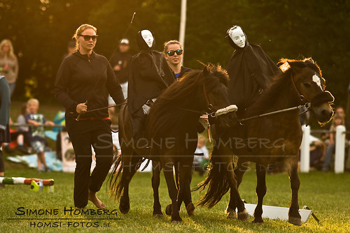(c)SimoneHomberg_Ponyfest_Schauprogramm_20150606_0458