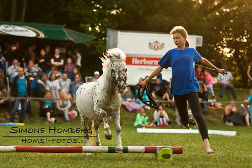 (c)SimoneHomberg_Ponyfest_Schauprogramm_20150606_0496