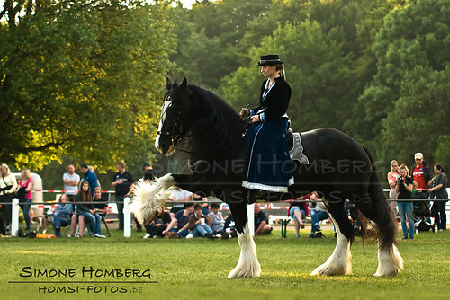 (c)SimoneHomberg_Ponyfest_Schauprogramm_20150606_0522