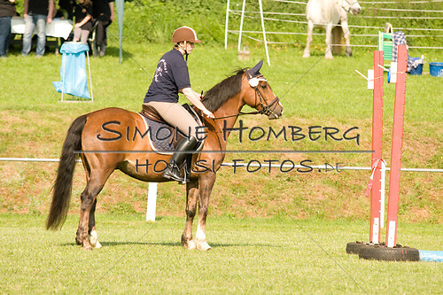 (c)SimoneHomberg_Ponyfest_Sa_20150606_0022