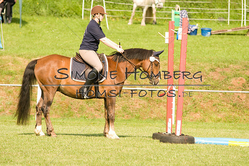 (c)SimoneHomberg_Ponyfest_Sa_20150606_0023