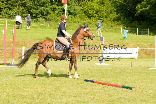 (c)SimoneHomberg_Ponyfest_Sa_20150606_0024