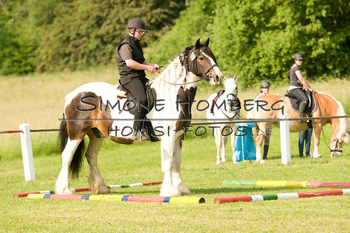 (c)SimoneHomberg_Ponyfest_Sa_20150606_0028