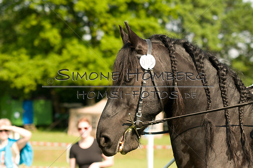 (c)SimoneHomberg_Ponyfest_Sa_20150606_0049