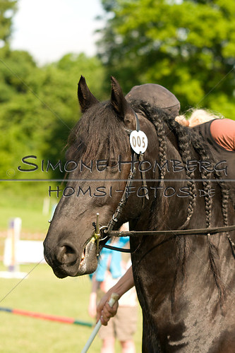 (c)SimoneHomberg_Ponyfest_Sa_20150606_0050