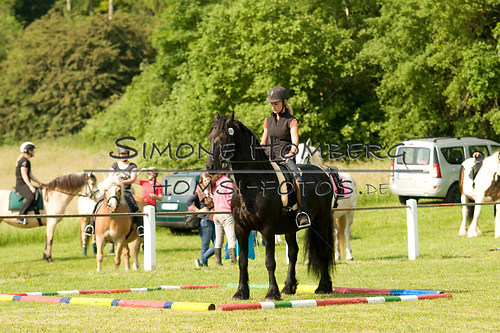 (c)SimoneHomberg_Ponyfest_Sa_20150606_0051