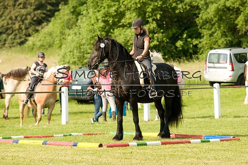 (c)SimoneHomberg_Ponyfest_Sa_20150606_0052