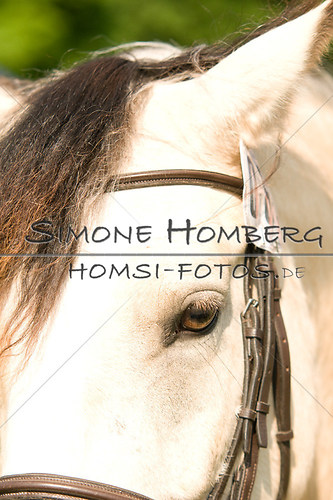 (c)SimoneHomberg_Ponyfest_Sa_20150606_0064