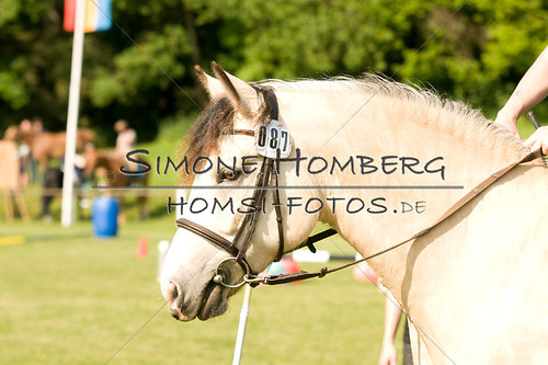 (c)SimoneHomberg_Ponyfest_Sa_20150606_0067