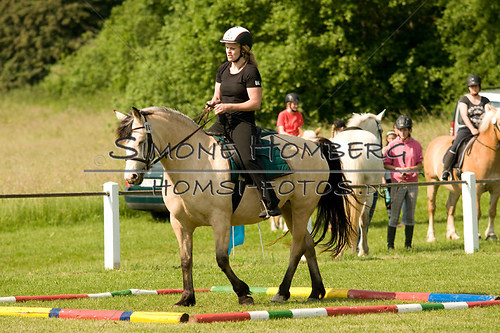 (c)SimoneHomberg_Ponyfest_Sa_20150606_0072