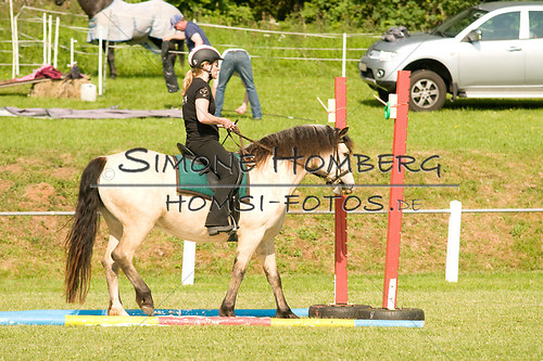 (c)SimoneHomberg_Ponyfest_Sa_20150606_0079