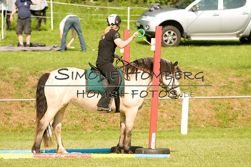 (c)SimoneHomberg_Ponyfest_Sa_20150606_0080