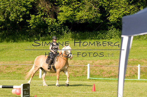 (c)SimoneHomberg_Ponyfest_Sa_20150606_0086