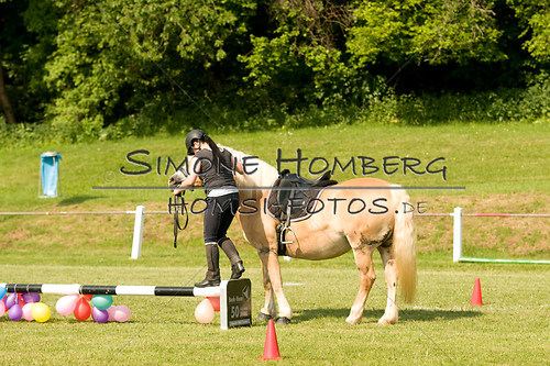 (c)SimoneHomberg_Ponyfest_Sa_20150606_0092