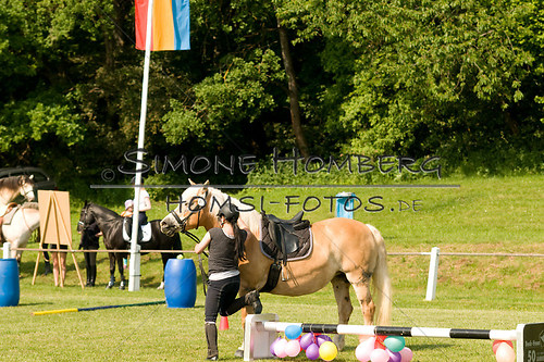 (c)SimoneHomberg_Ponyfest_Sa_20150606_0093