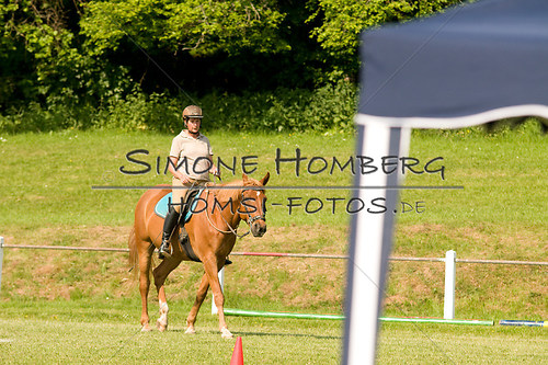 (c)SimoneHomberg_Ponyfest_Sa_20150606_0097