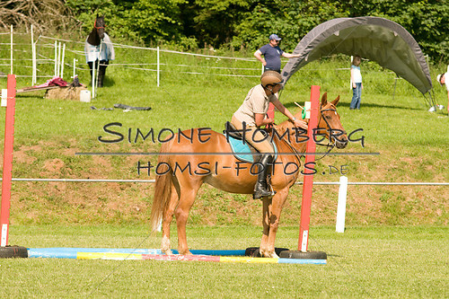 (c)SimoneHomberg_Ponyfest_Sa_20150606_0102