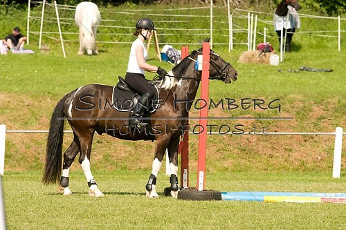 (c)SimoneHomberg_Ponyfest_Sa_20150606_0109