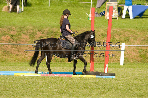 (c)SimoneHomberg_Ponyfest_Sa_20150606_0118