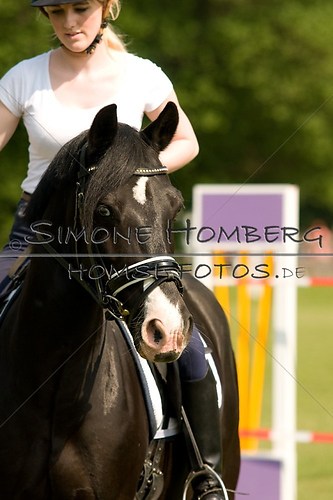 (c)SimoneHomberg_Ponyfest_Sa_20150606_0125