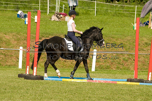 (c)SimoneHomberg_Ponyfest_Sa_20150606_0129