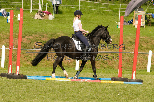 (c)SimoneHomberg_Ponyfest_Sa_20150606_0130
