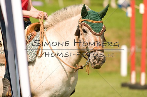 (c)SimoneHomberg_Ponyfest_Sa_20150606_0131