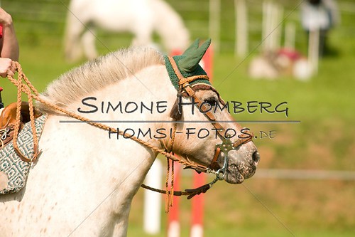 (c)SimoneHomberg_Ponyfest_Sa_20150606_0132