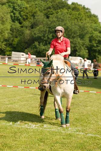 (c)SimoneHomberg_Ponyfest_Sa_20150606_0133