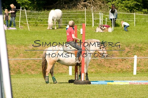 (c)SimoneHomberg_Ponyfest_Sa_20150606_0136