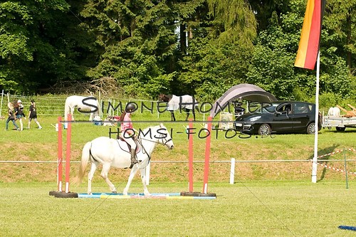 (c)SimoneHomberg_Ponyfest_Sa_20150606_0148