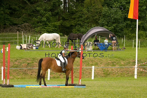 (c)SimoneHomberg_Ponyfest_Sa_20150606_0170