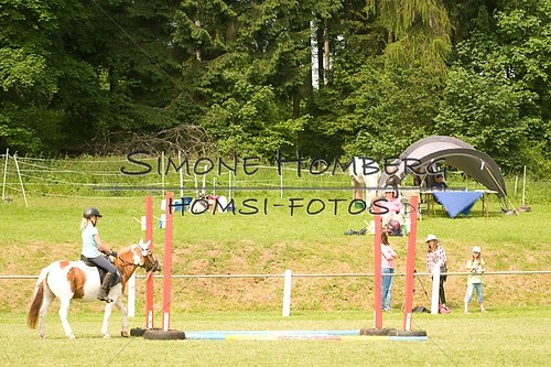 (c)SimoneHomberg_Ponyfest_Sa_20150606_0172