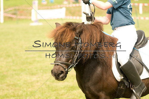 (c)SimoneHomberg_Ponyfest_Sa_20150606_0176