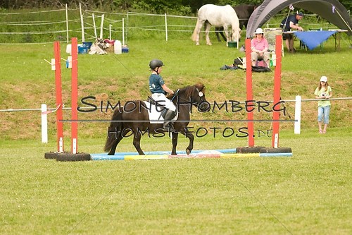 (c)SimoneHomberg_Ponyfest_Sa_20150606_0188