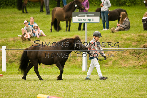 (c)SimoneHomberg_Ponyfest_Sa_20150606_0267