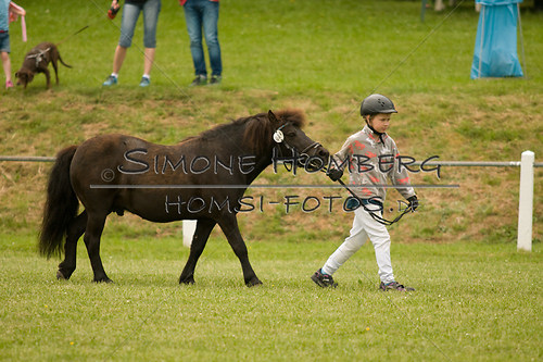 (c)SimoneHomberg_Ponyfest_Sa_20150606_0268