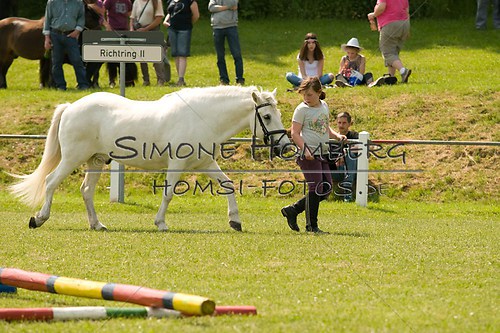 (c)SimoneHomberg_Ponyfest_Sa_20150606_0278