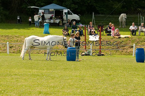 (c)SimoneHomberg_Ponyfest_Sa_20150606_0281