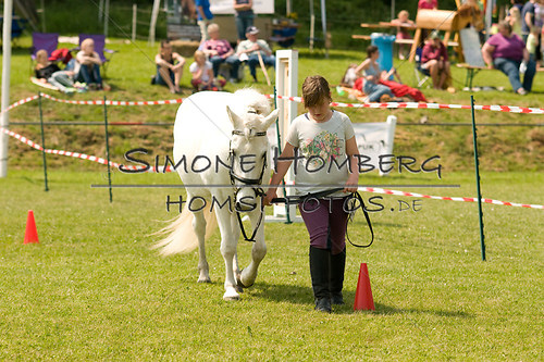 (c)SimoneHomberg_Ponyfest_Sa_20150606_0282
