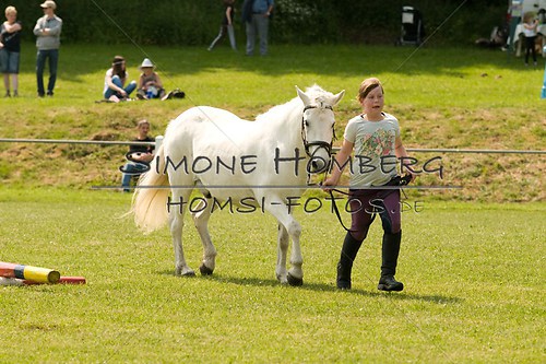 (c)SimoneHomberg_Ponyfest_Sa_20150606_0287