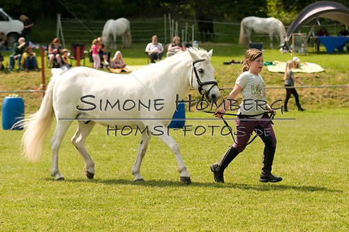 (c)SimoneHomberg_Ponyfest_Sa_20150606_0289