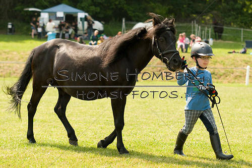 (c)SimoneHomberg_Ponyfest_Sa_20150606_0294