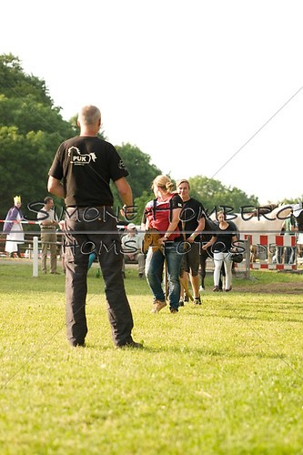 (c)SimoneHomberg_Ponyfest_Schauprogramm_20150606_0005