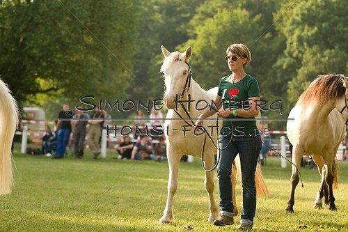 (c)SimoneHomberg_Ponyfest_Schauprogramm_20150606_0010