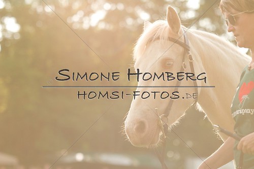 (c)SimoneHomberg_Ponyfest_Schauprogramm_20150606_0014