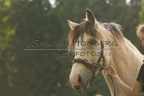 (c)SimoneHomberg_Ponyfest_Schauprogramm_20150606_0015