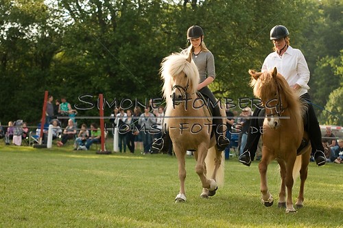 (c)SimoneHomberg_Ponyfest_Schauprogramm_20150606_0016