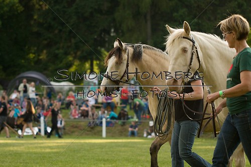 (c)SimoneHomberg_Ponyfest_Schauprogramm_20150606_0017