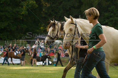 (c)SimoneHomberg_Ponyfest_Schauprogramm_20150606_0018